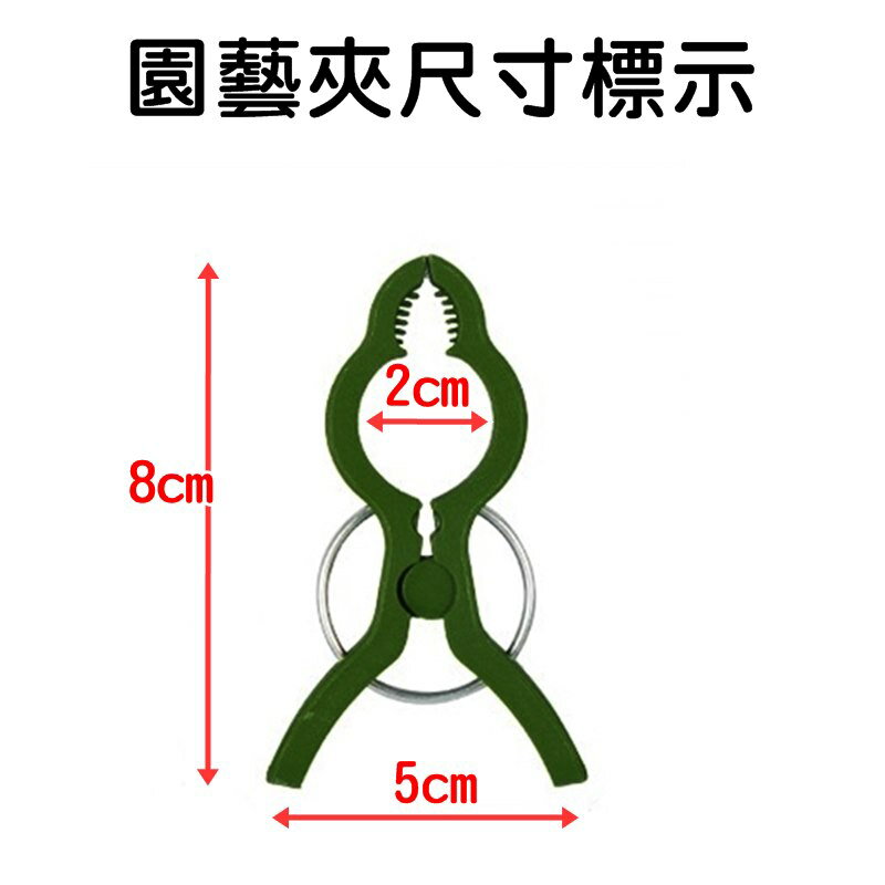 【珍愛頌】N407 園藝萬用夾 夾子 爬藤夾 番茄夾 藤蔓夾 扶蔓夾 吊蔓夾 植物夾 園林夾 枝條夾 吊秧夾 彈簧夾 7