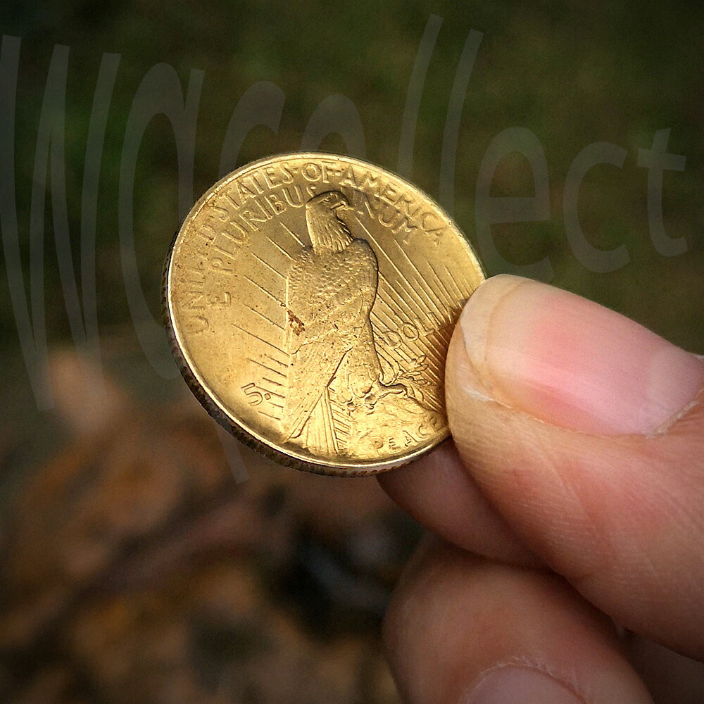 1921年自由女神和平鴿小金幣微型指尖仿古硬幣外國錢幣收藏把玩| 協貿國際日用品生活3館| 樂天市場Rakuten