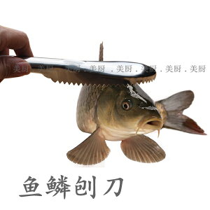 魚鱗刨 不銹鋼刮魚鱗器去魚鱗刷 魚鱗搓板廚房小工具