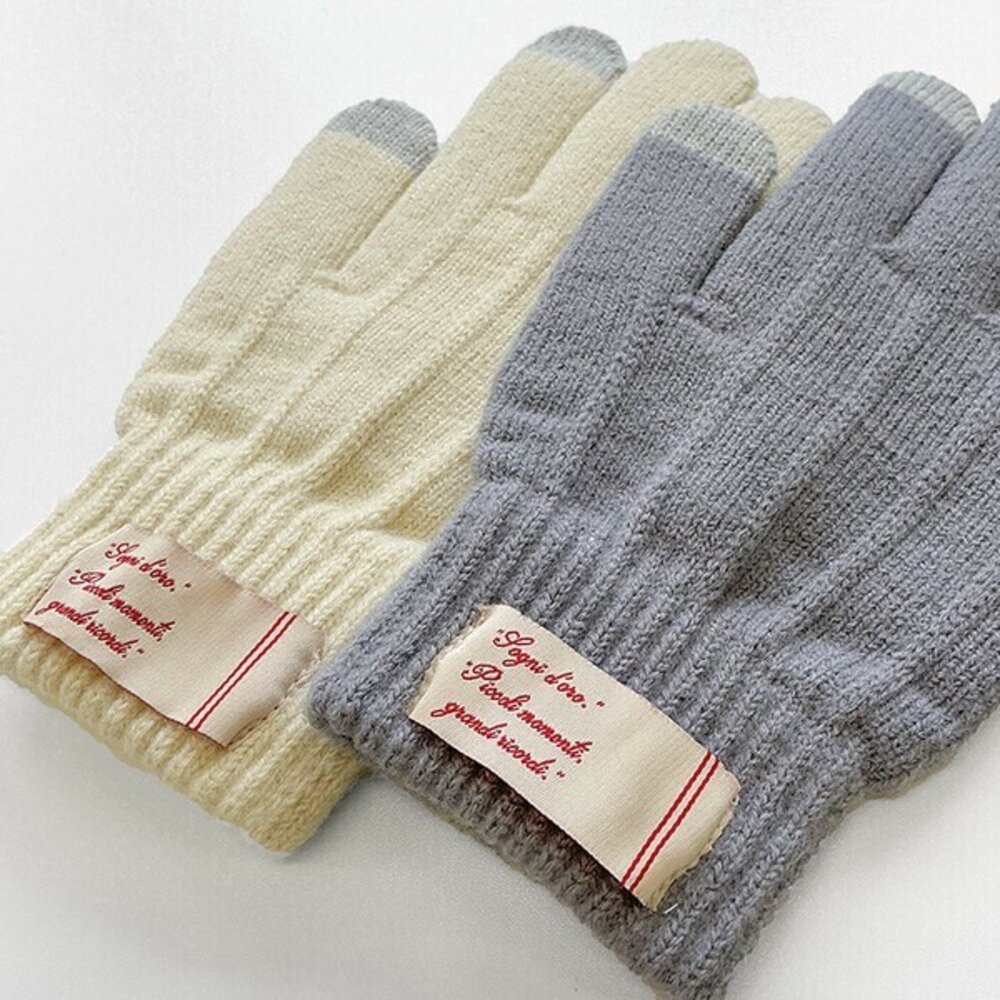 可划手機 刷毛保暖手套 男女通用 滑雪手套 防寒手套 針織手套 觸控手套 保暖手套 冬天必備 日本進口 - 男手套 冬天 下雪 可划手機 出國 女手套 保暖 刷毛保暖手套 男女通用 滑雪手套 防寒手套 針織手套 觸控手套 保暖手套 冬天必備