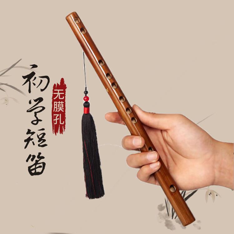 迷你短笛無膜孔橫笛學生入門竹笛初學者兒童成人樂器女隨身笛 99購物節