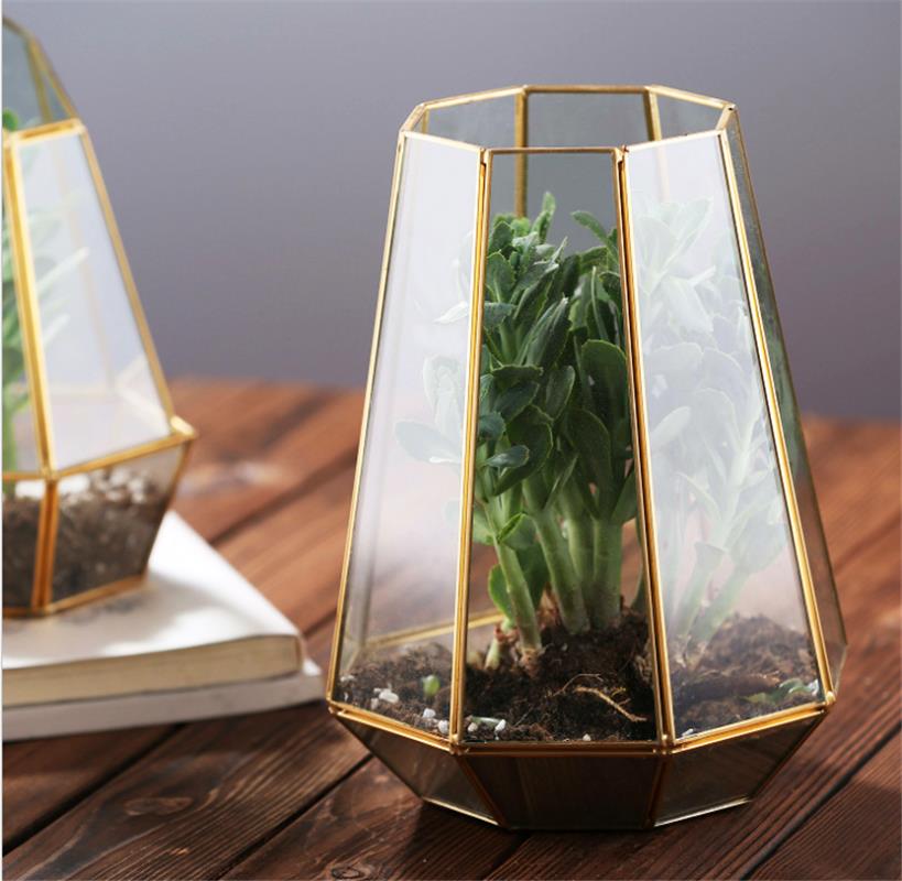 八菱形多肉植物幾何體玻璃花房 生態創意花盆花器工藝品