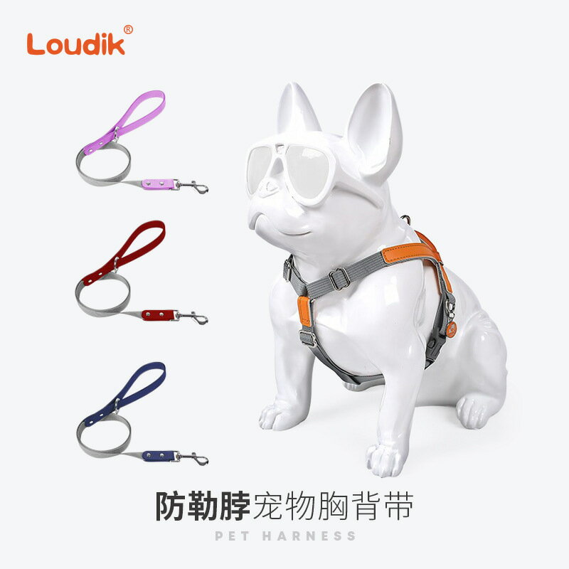 原創設計時尚寵物胸揹帶狗狗牽引繩牽引帶中大型犬Loudik