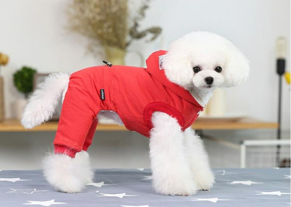 寵物冬衣 狗狗衣服保暖加厚泰迪貴賓衣服寵物服裝小狗狗天衣服 瑪麗蘇