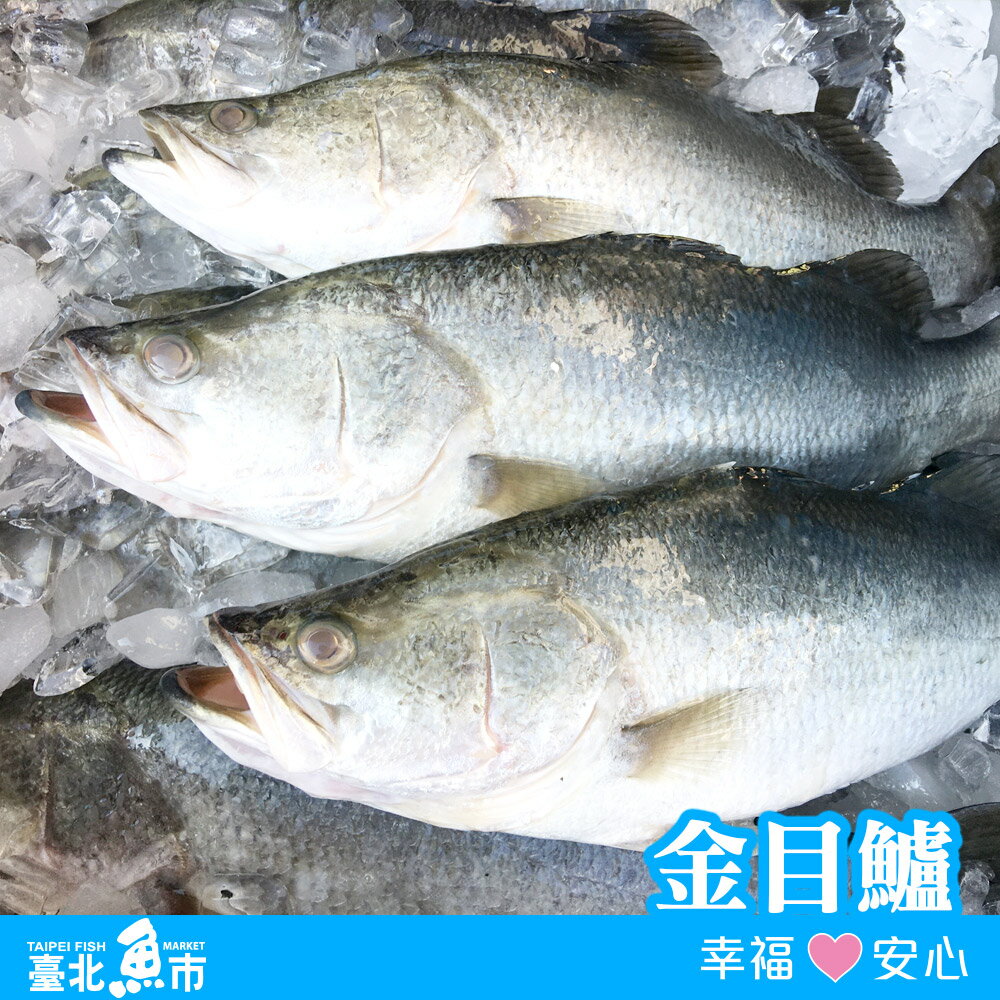 台北魚市 金目鱸480g 10 臺北魚市 Rakuten樂天市場