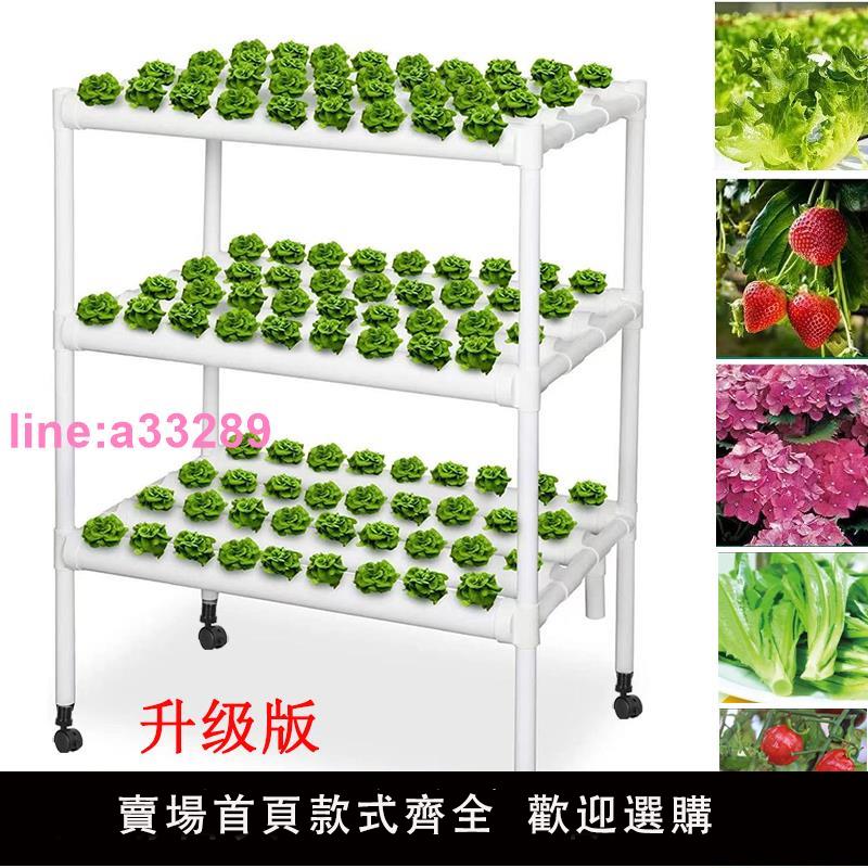 {可開發票}陽臺管道式水培種菜機無土栽培裝置家庭自動化水耕蔬菜多層種植架