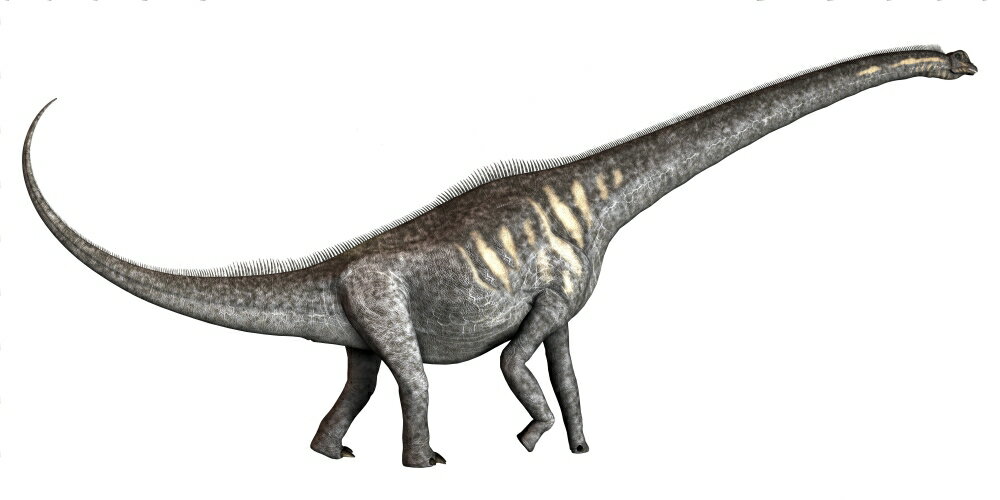 trunked sauropods