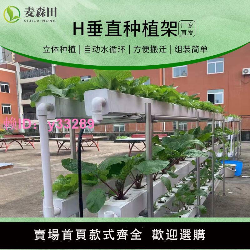 無土栽培裝置植物工廠展示實驗樓頂水培管道葉菜蔬菜H垂直種植架