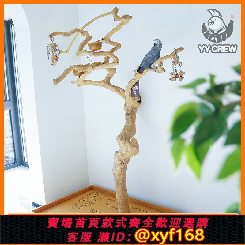 {保固一年 可打統編}鸚鸚隊 Java Wood落地款咖啡木站臺實木站架中大型鳥站立棲息小樹