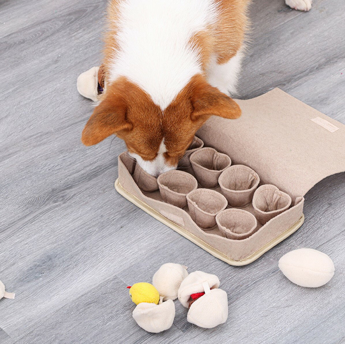 DogLemi多樂米 雞蛋盒嗅聞玩具 漏食玩具 狗狗玩具 狗玩具 寵物玩具 益智玩具 嗅聞玩具 藏食玩具 5