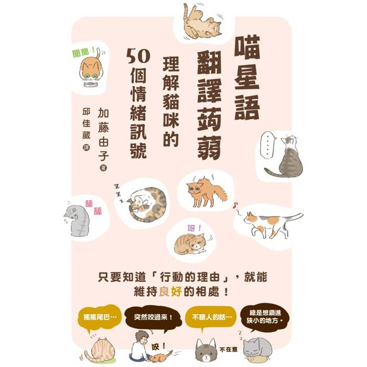 喵星語翻譯蒟蒻：理解貓咪的50個情緒訊號