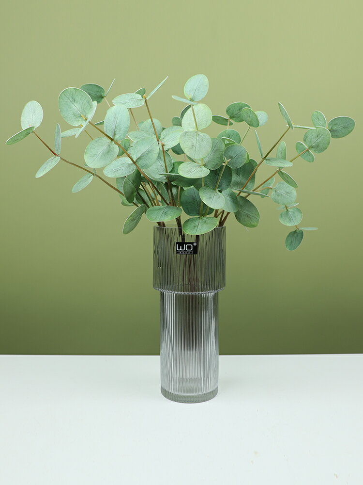 wo+創意簡約透明玻璃豎紋花瓶水養插花裝飾擺件客廳餐桌桌面擺放