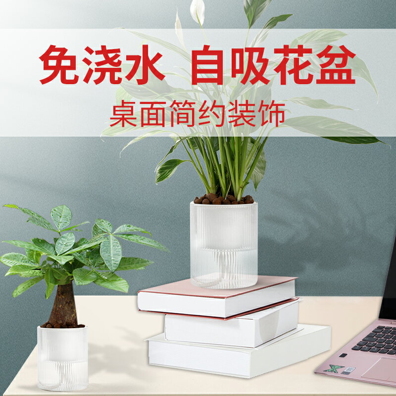 綠蘿花盆自動吸水懶人免澆水養花水培器皿透明塑膠植物自水養盆器