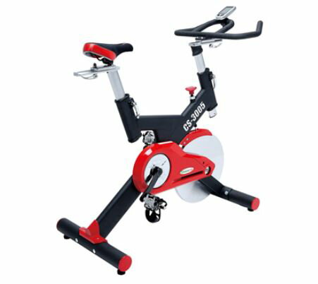 強生 CHANSON CS-3005 飛輪競速健身車 飛輪健身車 飛輪車【大自在運動休閒精品店】 0