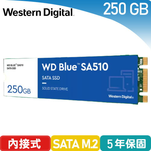 【現折$50 最高回饋3000點】 WD 藍標 SA510 250GB M.2 2280 SATA SSD固態硬碟