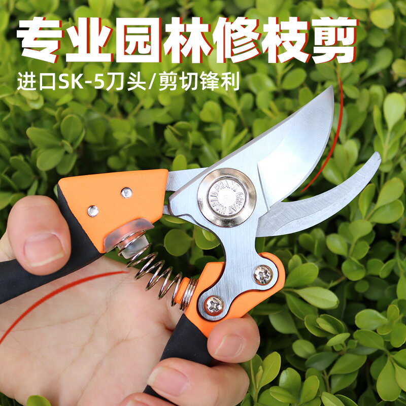 園林工具 園藝剪樹枝剪修枝剪家用庭院精修剪 嫁接果樹剪刀【博野五金】