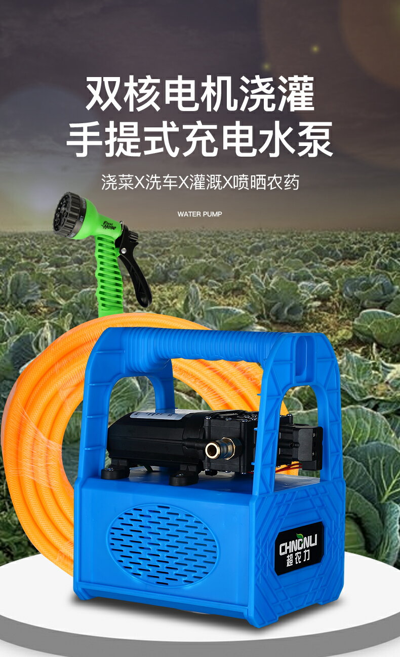 小型充電式抽水泵家用澆菜神器澆水機農用澆地戶外田園灌溉抽水機