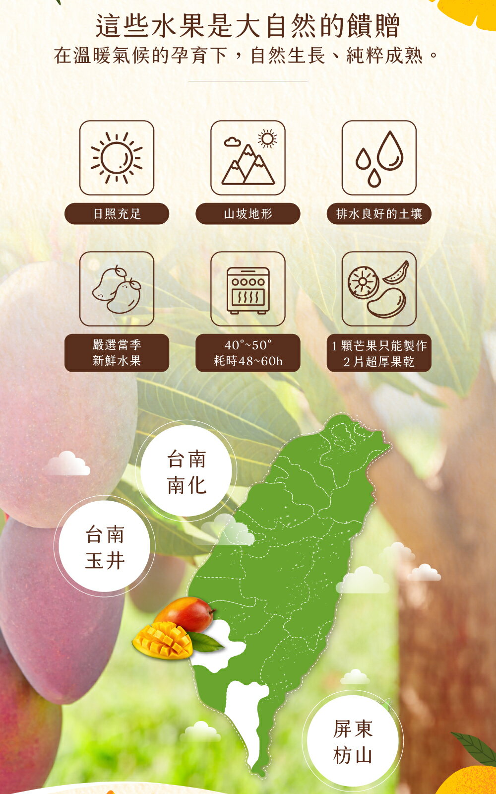 台南玉井愛文芒果乾 (無添加)【Delic好食嗑】日本旅遊書推薦 3