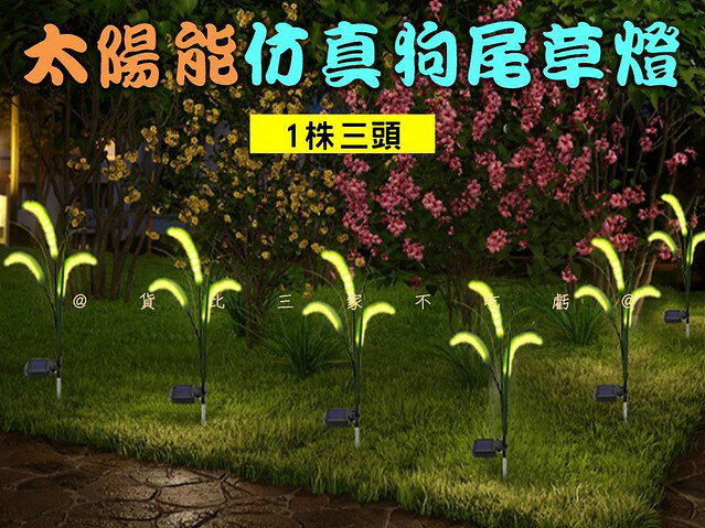 太陽能模擬狗尾草燈 蘆葦燈 戶外插地燈 麥穗草坪燈 感應燈 模擬九尾草燈 造景求婚 別墅 園藝裝飾 暖光 節日裝飾