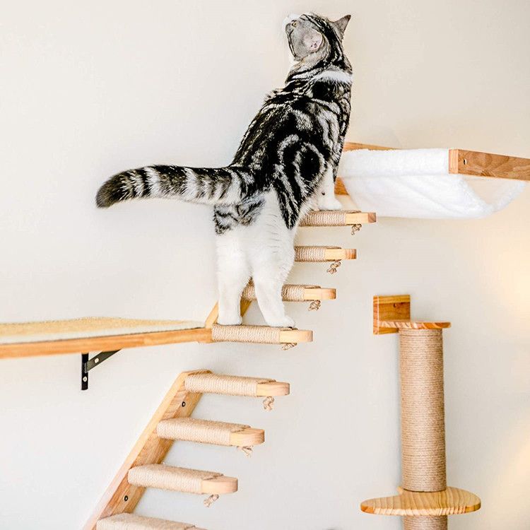 墻上懸掛式貓爬架不占地墻壁式貓樓梯墻上貓跳臺實木貓窩四季通用
