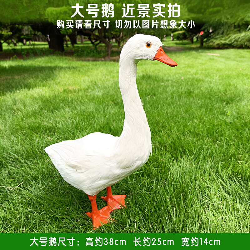 仿真鵝模型動物標本大白鵝室內園林裝飾品鵝擺件攝影拍照道具鴨子 6