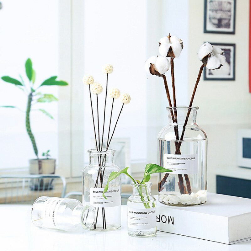玻璃花瓶ins客廳臥室透明干花創意家居桌面迷你擺件插花水培花瓶