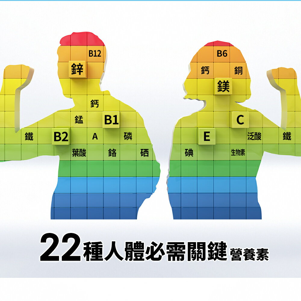 ＵＴＯ｜善存成人綜合維他命錠 台灣公司貨/開立發票 4