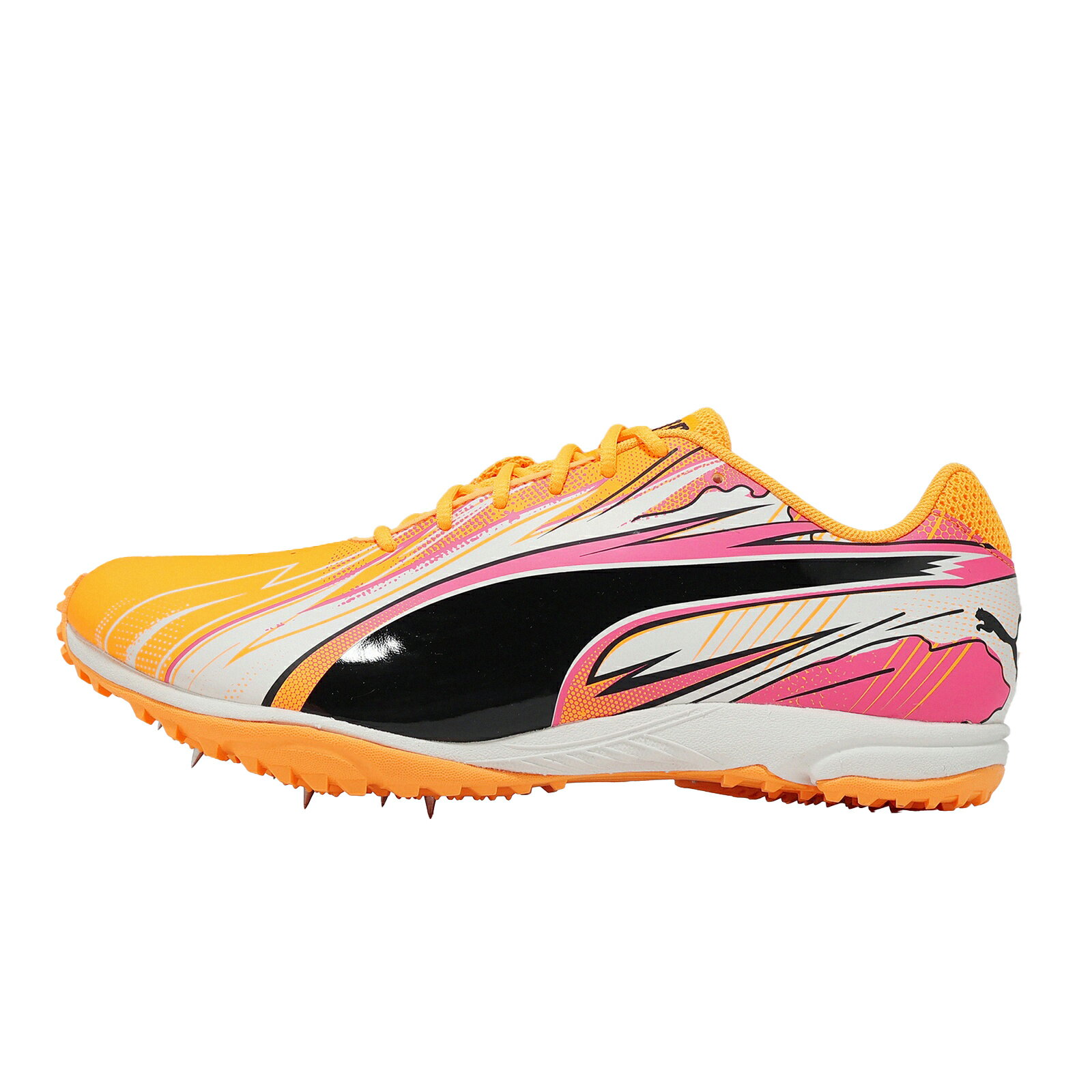 Puma 田徑鞋 EvoSpeed Haraka Sparked 男鞋 黃黑 中長跑 釘鞋 313592-01