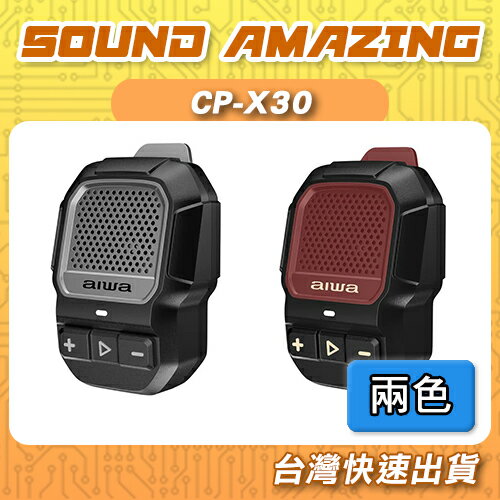 AIWA愛華 藍芽5.4便攜式音箱 喇叭 支援免持通話 CP-X30【Sound Amazing】