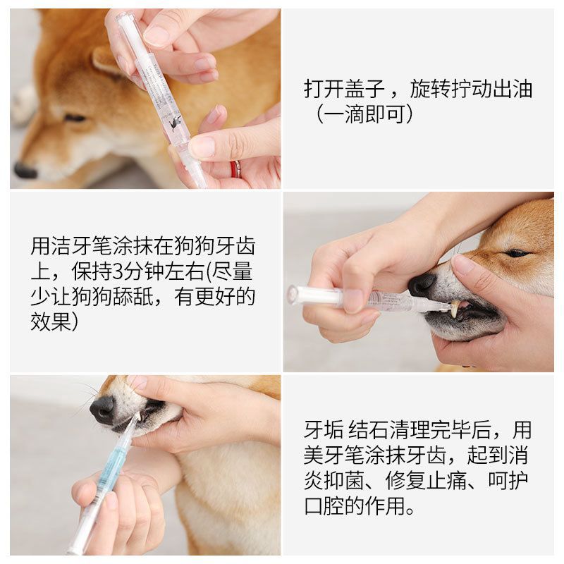 楓林宜居 狗狗貓咪牙結石清潔套裝寵物潔牙筆 狗貓寵物美牙筆潔牙工具