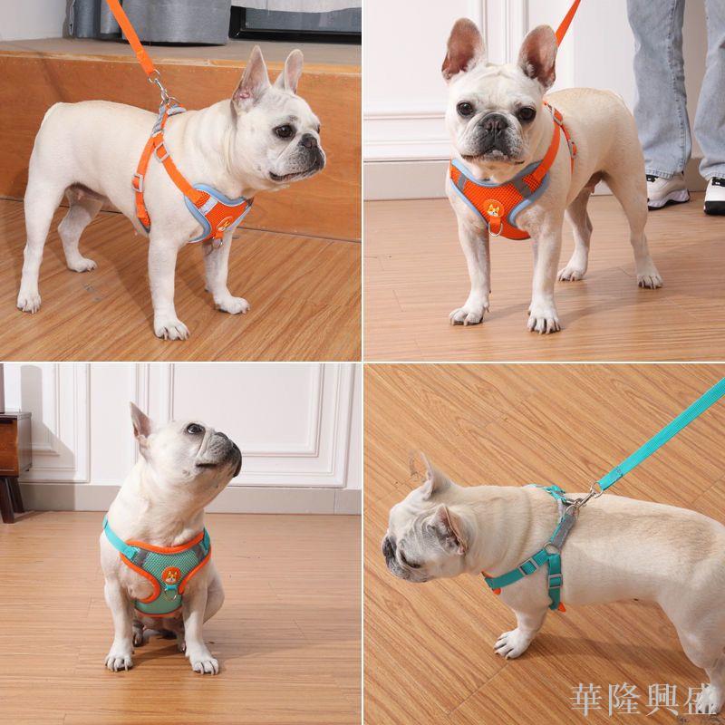 狗狗牽引繩透氣狗繩小型犬胸背帶博美泰迪比熊狗繩狗鏈子貓咪寵物