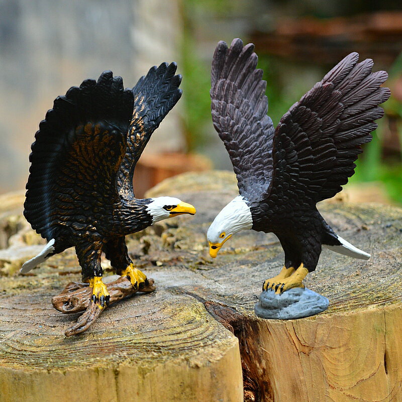 老鷹白頭鷹雪鷹模擬動物模型玩偶野生動物飛禽鳥塑膠擺件兒童玩具