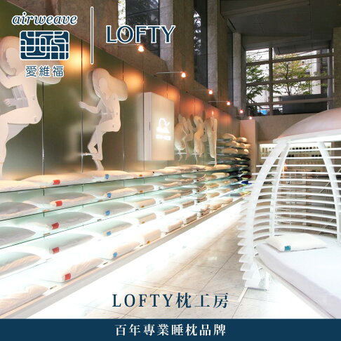 LOFTY 枕工房|airweave 愛維福 雙面快眠枕 (百年專業睡枕品牌 透氣可水洗 支撐力佳 分散體壓) 6