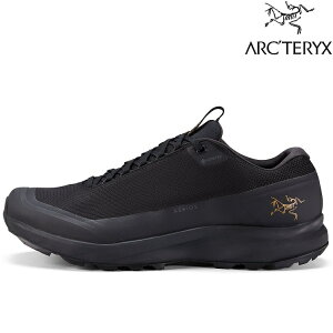 Arcteryx 始祖鳥 Aerios FL2 GTX 男款 健行鞋/低筒登山鞋 X000007762 黑 Black 29393