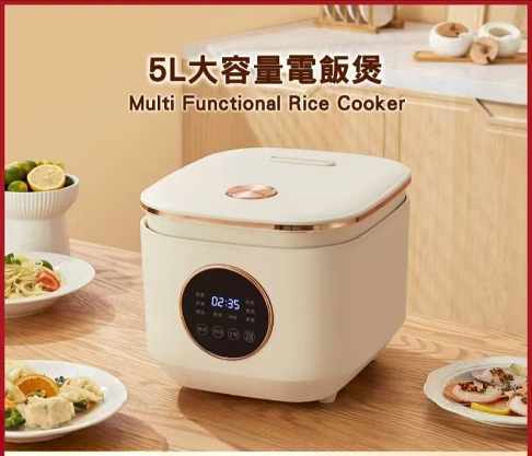 電飯煲定制家用多功能大容量電飯鍋110V電飯煲 0