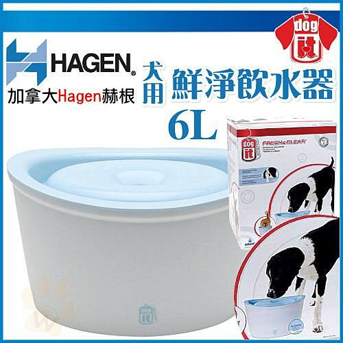 加拿大 Hagen 赫根 犬用-鮮淨飲水機6L 循環設計超大容量 寵物飲水器『WANG』