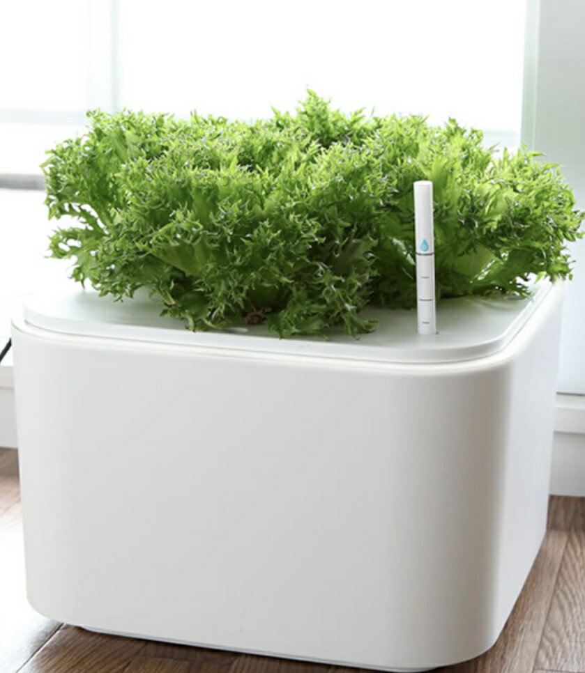 MASUCO 日本製 水耕栽培機 水耕機 種菜機 種植機 葉菜 果菜 蔬果 無土栽培 水培 家庭菜園 療癒小物  禮物 日本代購