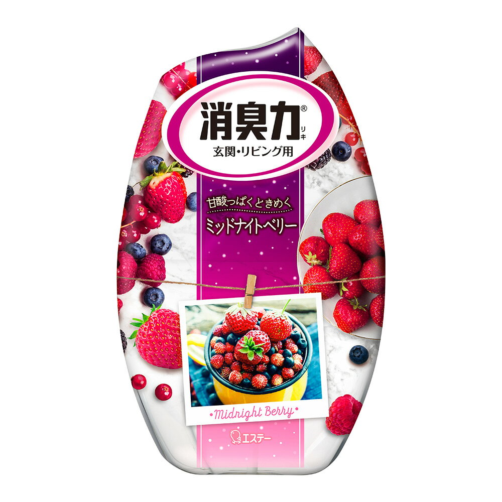 日本 ST雞仔牌 部屋消臭力-莓果香400ml