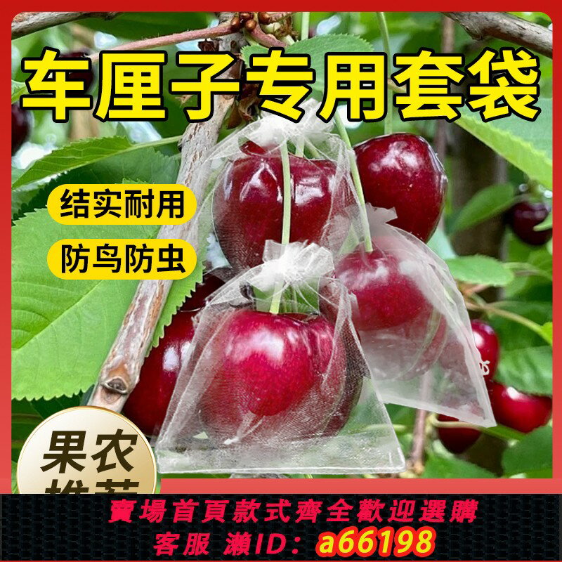 【臺灣公司 可開發票】車釐子套袋果袋防蟲防鳥透氣草莓枇杷櫻桃專用套袋通用型水果網袋