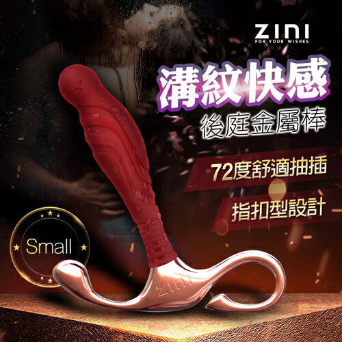 ZINI｜布萊克｜前列腺後庭金屬棒/小