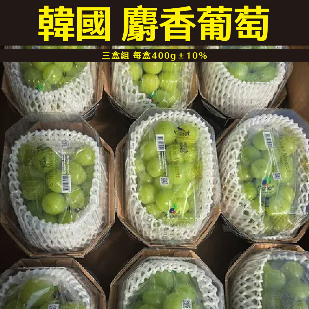 【仙菓園】韓國 麝香葡萄 三盒組 每盒400g±10% 0