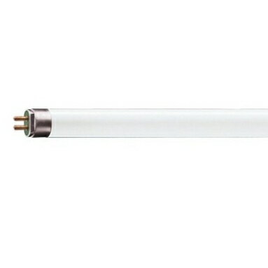 Philips 飛利浦 T5 HE 21W 830 865 MASTER 日光燈管 歐管 歐洲製