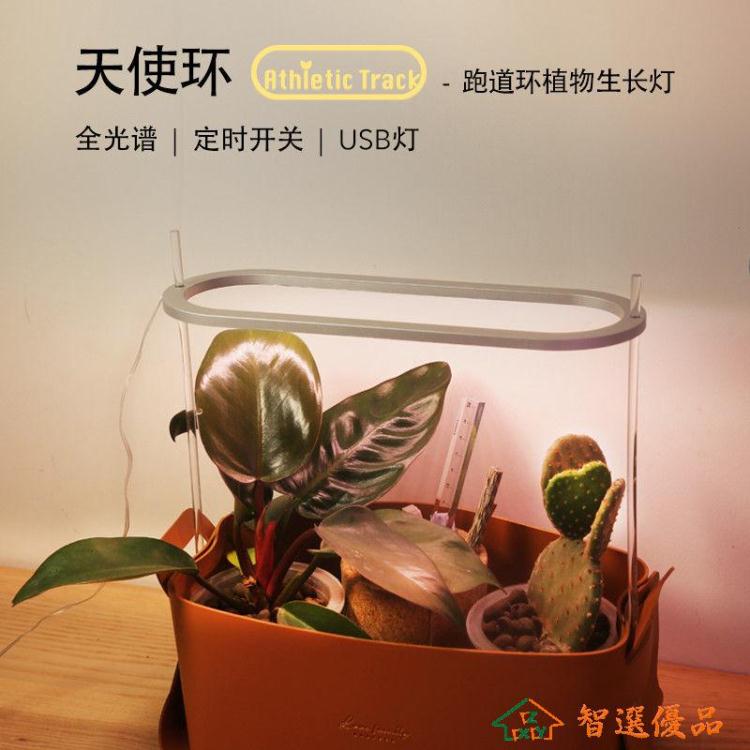 植物補光燈 植物生長燈全光譜天使環跑道環定時開關usb花卉多肉植物補光燈 快速出貨