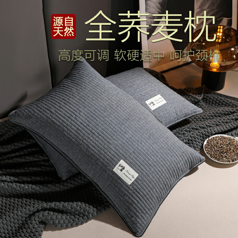 枕頭家用雙人一對裝夏季男高枕護頸椎枕助睡眠專用全蕎麥枕芯