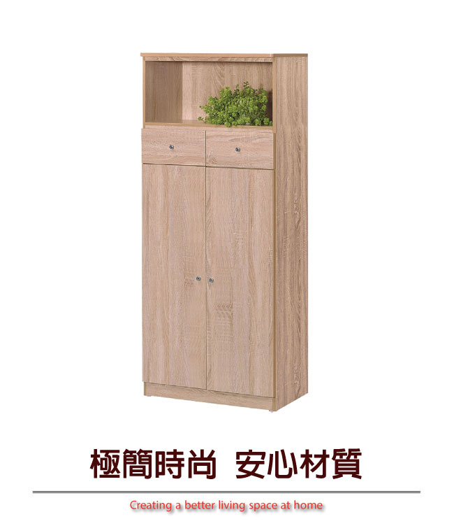【綠家居】利諾 現代2尺二門二抽中鞋櫃/收納櫃(三色可選)
