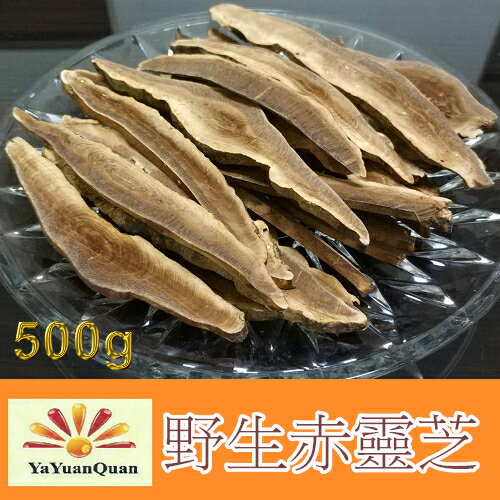 【亞源泉】野生赤靈芝 (500g/包)(切片)