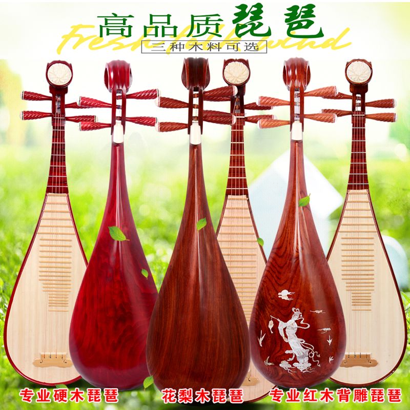 成人琵琶 初學民族樂器硬木紅木練習琴專業演奏琵琶正品廠家直銷