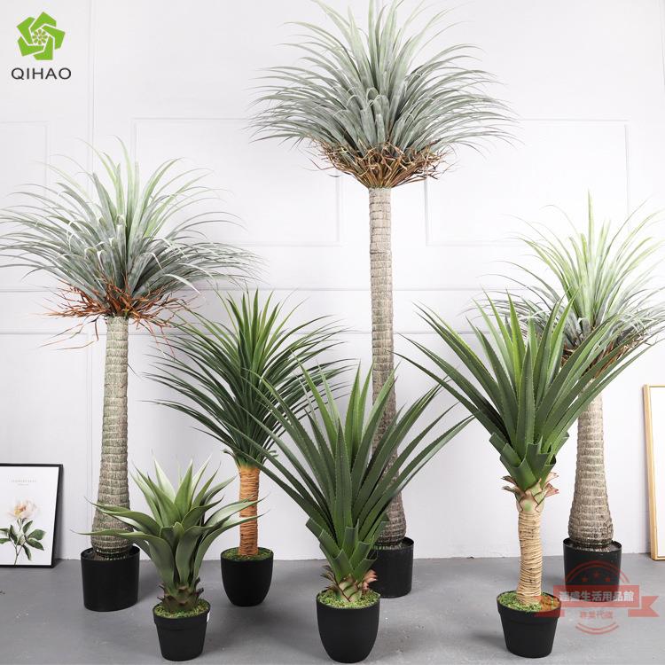 北歐 模擬龍血樹鐵樹 大型綠植盆栽 客廳落地模擬綠植擺件 黃冠蘭