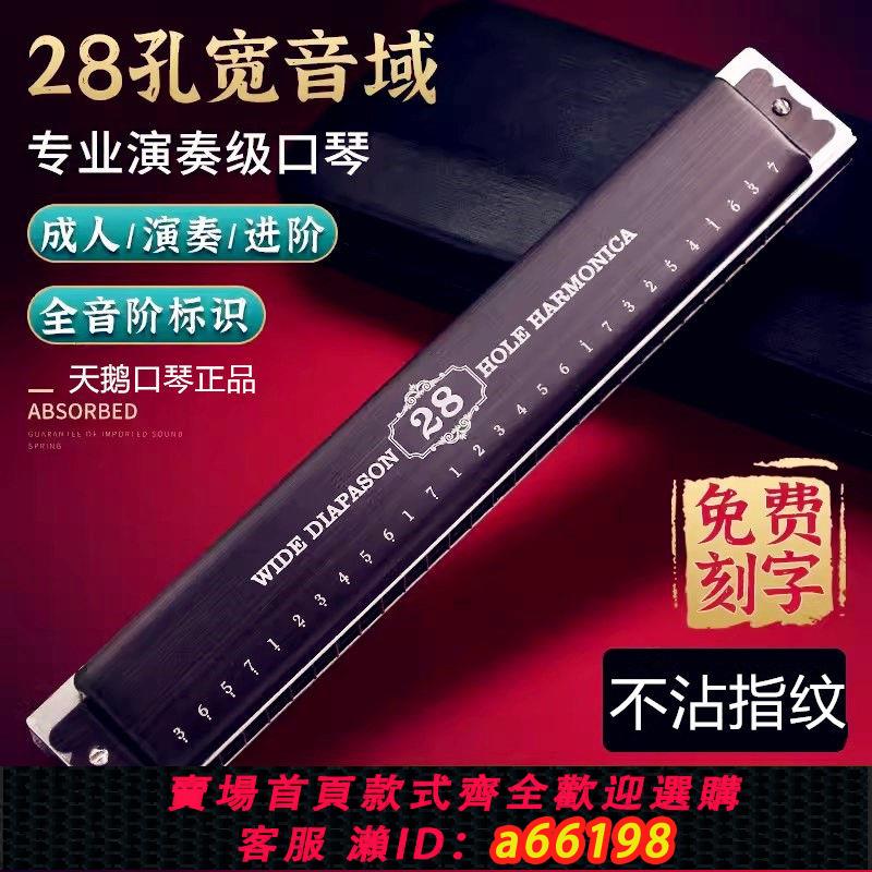 【臺灣公司 可開發票】德國進口音簧28孔重復音專業演奏級口琴高階送禮成人正品樂器