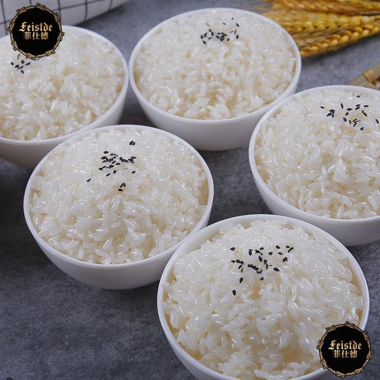 假菜 模擬白米飯菜品道具模型食物食品假菜樣品飯店美食菜餚模具擺件【林之舍】